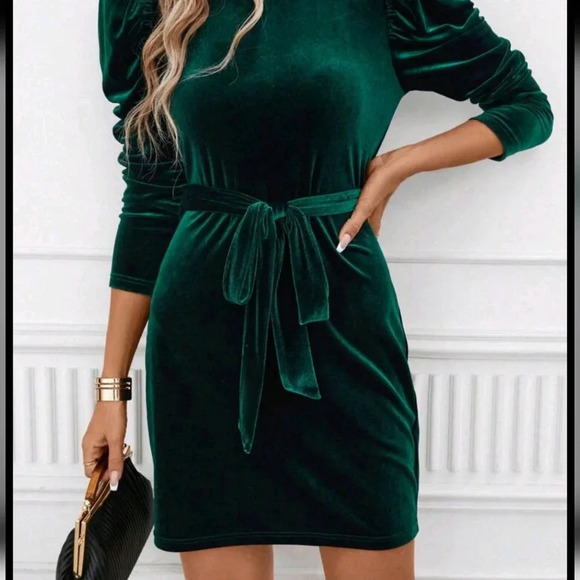 Neck Puff Sleeve Belted Velvet Dress - Picture 1 of 5